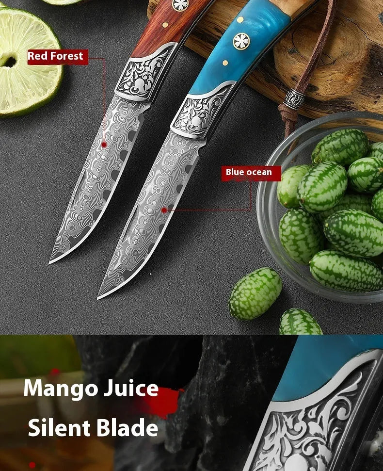 VG10 stainless steel folding knife with national style handmade craftsmanship