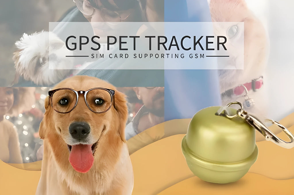 A black GPS dog collar with a small rectangular tracking unit attached, shown on a dog's neck.