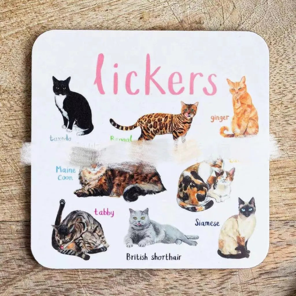 Set of six square bird pun coasters with different bird chart illustrations on white background