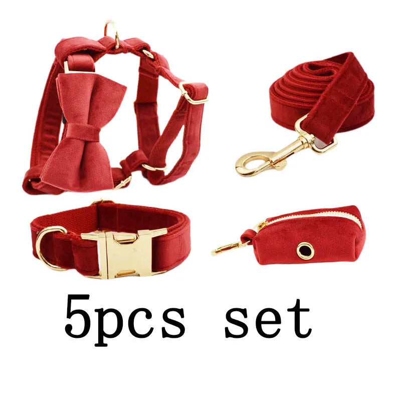 Dog wearing cloth collar, leash, vest with decorative bow accessory set
