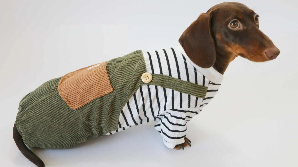 Green black and white striped four-legged pet pants for small dogs, polyester, sizes XS to XL