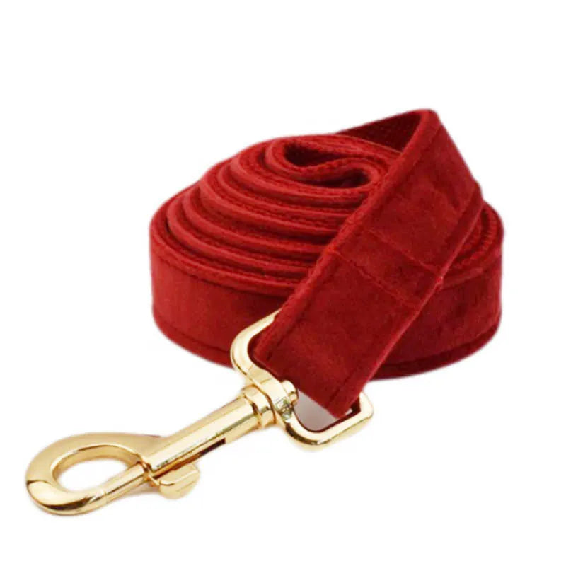 Dog wearing cloth collar, leash, vest with decorative bow accessory set