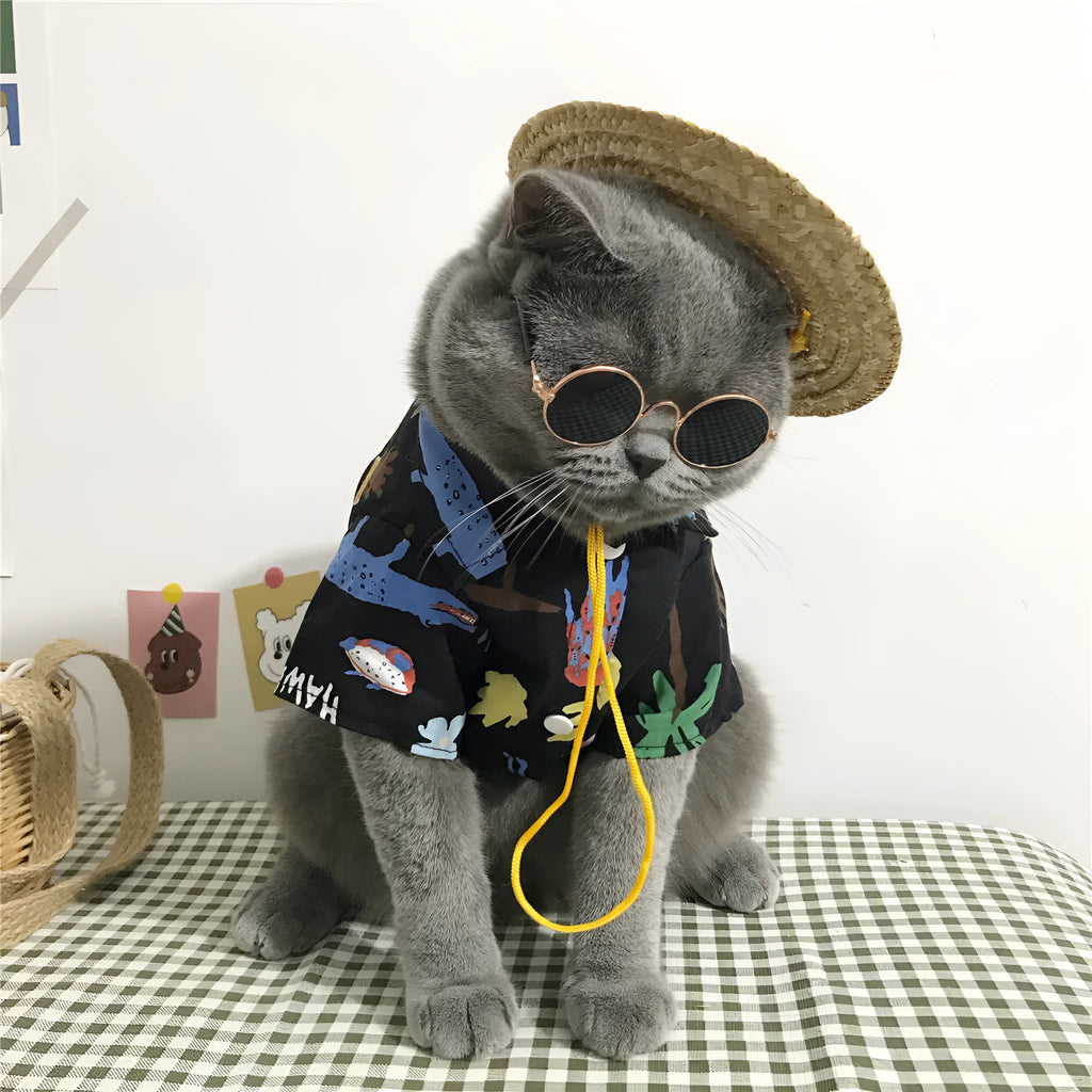 Summer cat shirt with straw hat necklace and glasses set for hair shedding reduction