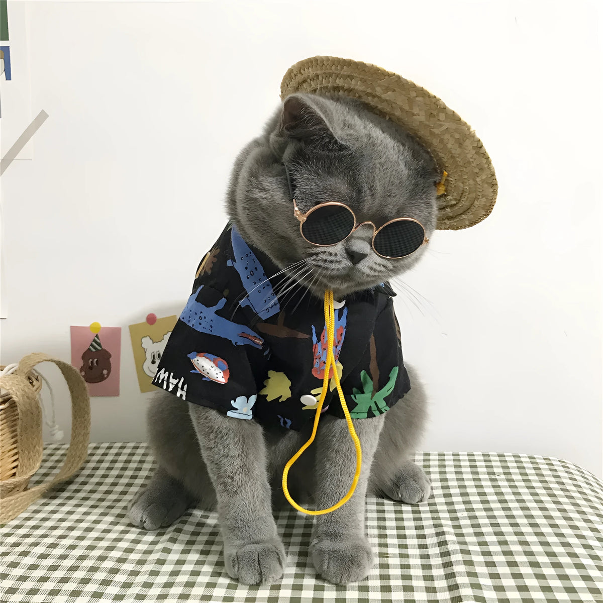 Summer cat shirt with straw hat necklace and glasses set for hair shedding reduction
