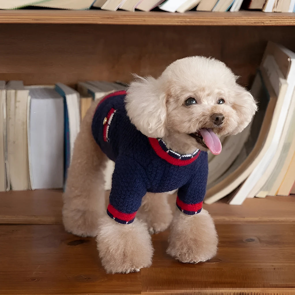 Blue wool sweater cardigan for dog in princess style with tailored pet fit