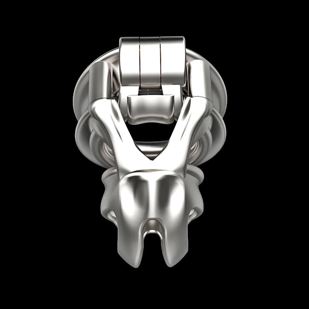 Stainless steel chastity cage device with extra small cage and ring sizes 38mm to 52mm