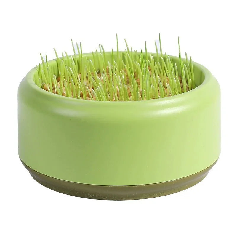 Blue hydroponic cat grass growing kit with potted cup and packets of seeds on a white background.