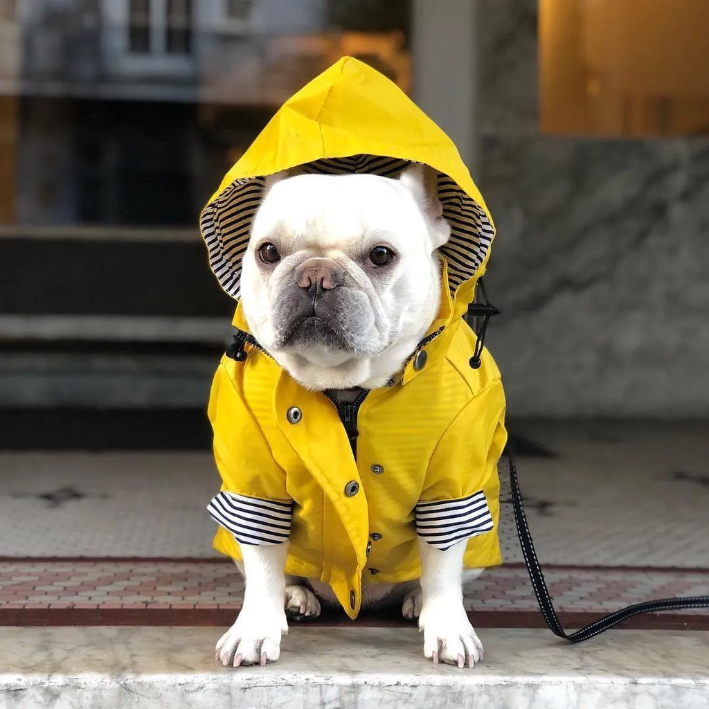 Yellow polyester dog raincoat with high-density twill windproof and waterproof design