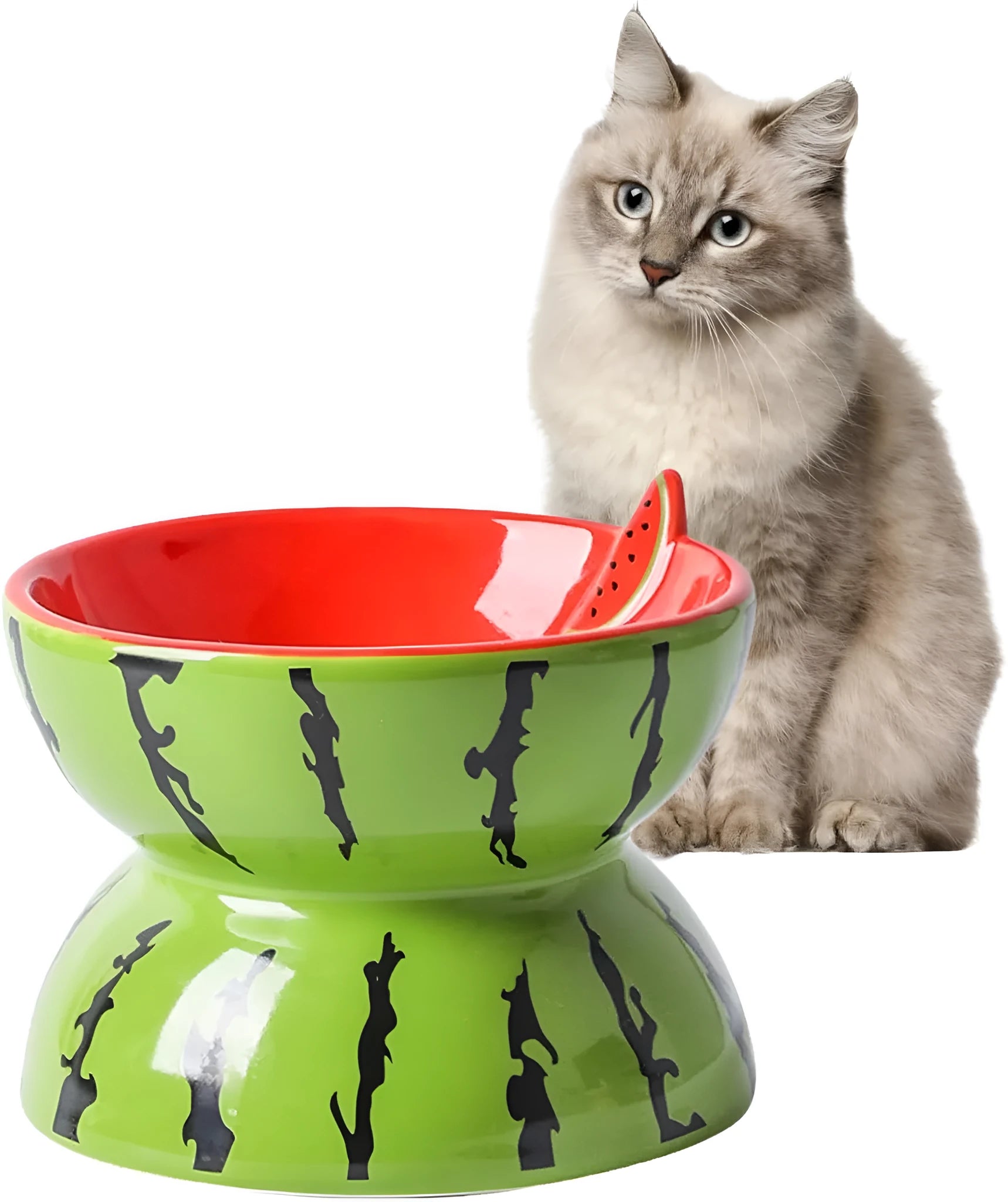 Ceramic raised cat bowl with tilted design in orange colour