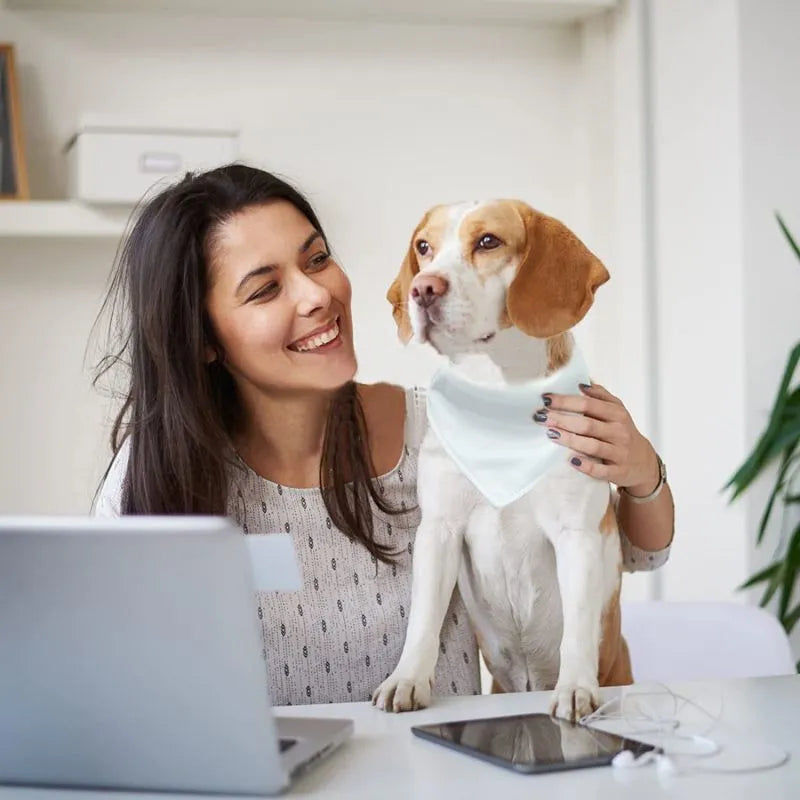 Blank white polyester dog scarf for thermal transfer customisation in four sizes