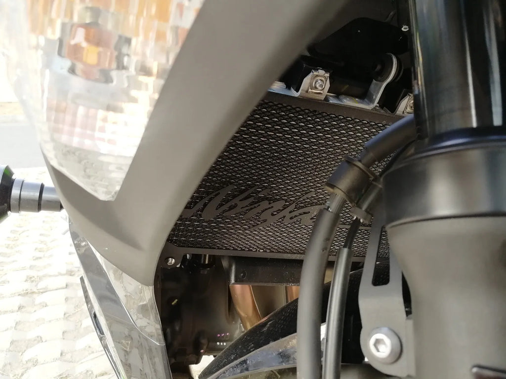 Kawasaki Z400 Ninja 400 water tank protective heat dissipation net in available colours