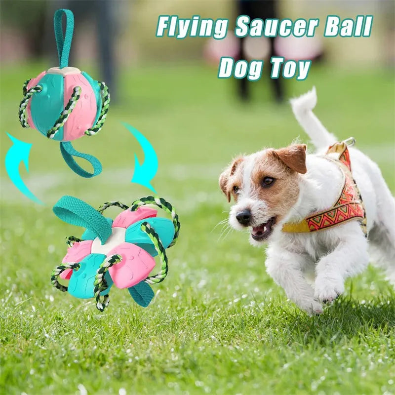 Interactive dog football soccer ball with tabs in blue, showing sphere form with cotton rope and nylon tug rope, on grass