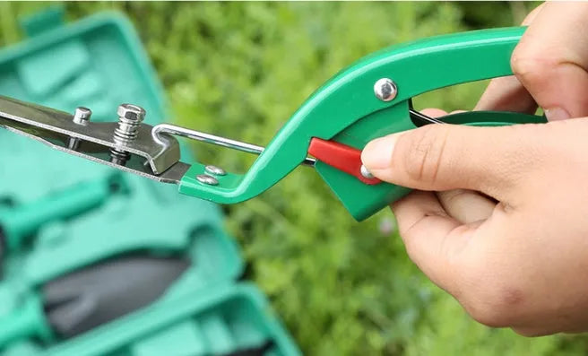 Ten-piece gardening tool set with iron heads and plastic handles, green and purple colour options