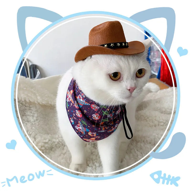 Black star pattern cowboy hat on pet with adjustable strap