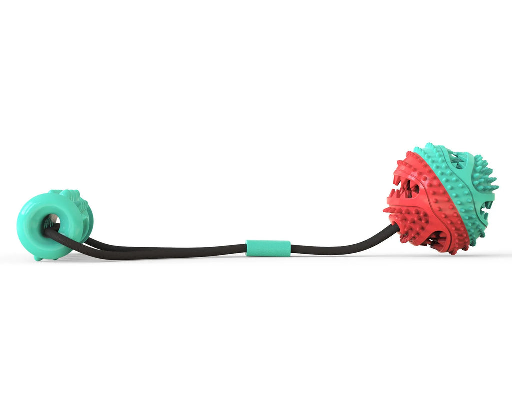 Pet toy set with pull rope, 8.5cm training ball, and 12cm molar stick for dogs
