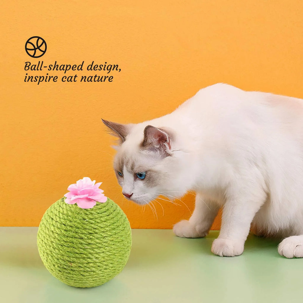 Green cactus-shaped cat scratcher ball with natural sisal scratching surfaces and integrated catnip toys