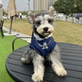 Blue and grey white polyester pet hoodie with reflective lettering on a cat or dog