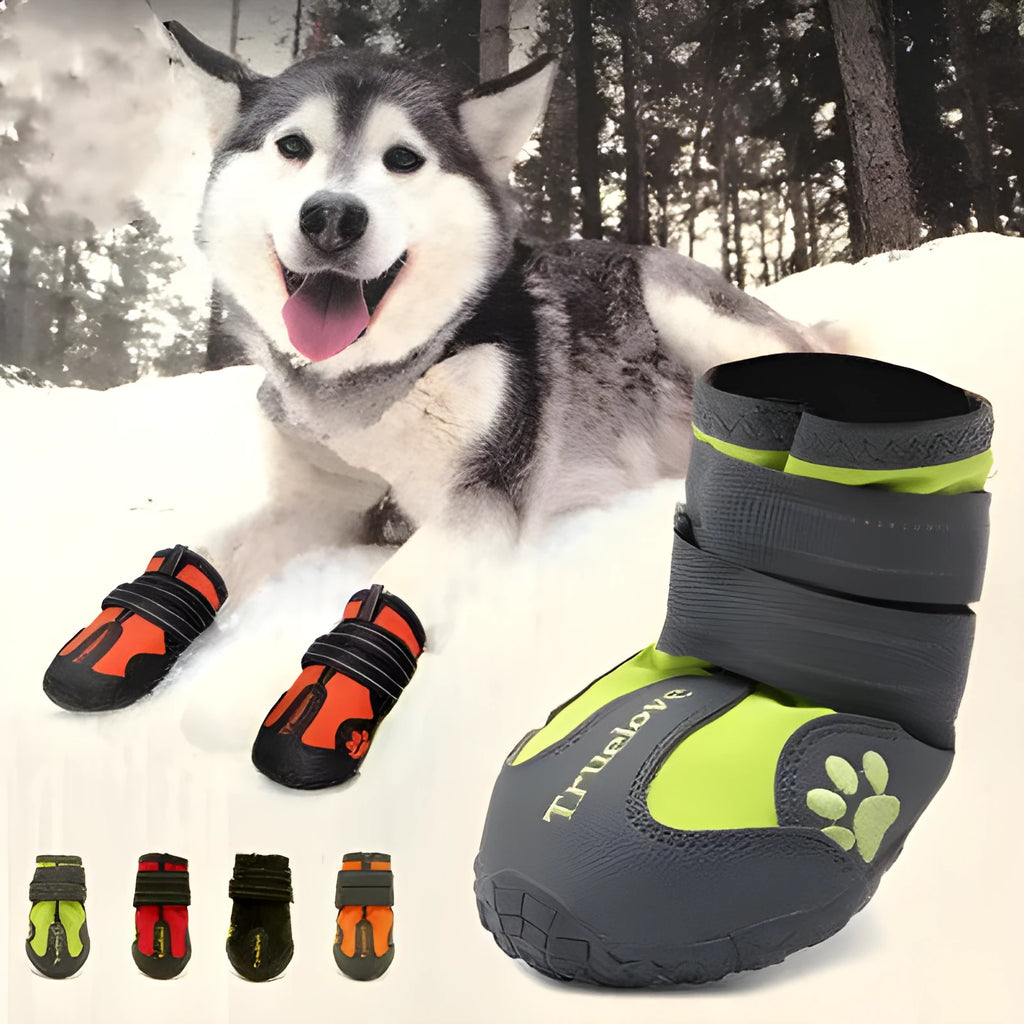 Big dog shoes with double velcro closure, waterproof and luminous, in black, green, orange and red, sizes 1-8