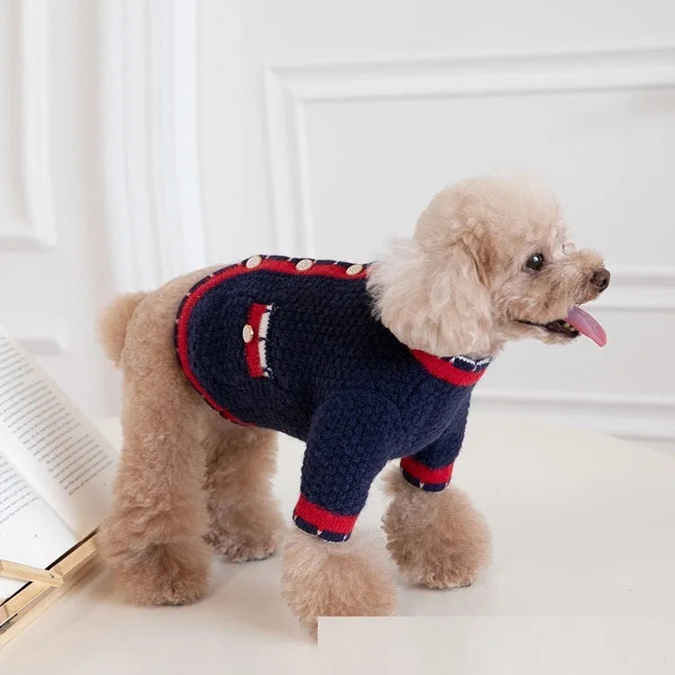 Blue wool sweater cardigan for dog in princess style with tailored pet fit