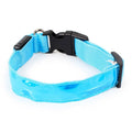 Nylon dog collar in blue with silver buckle on white background, size S 2.5x40cm
