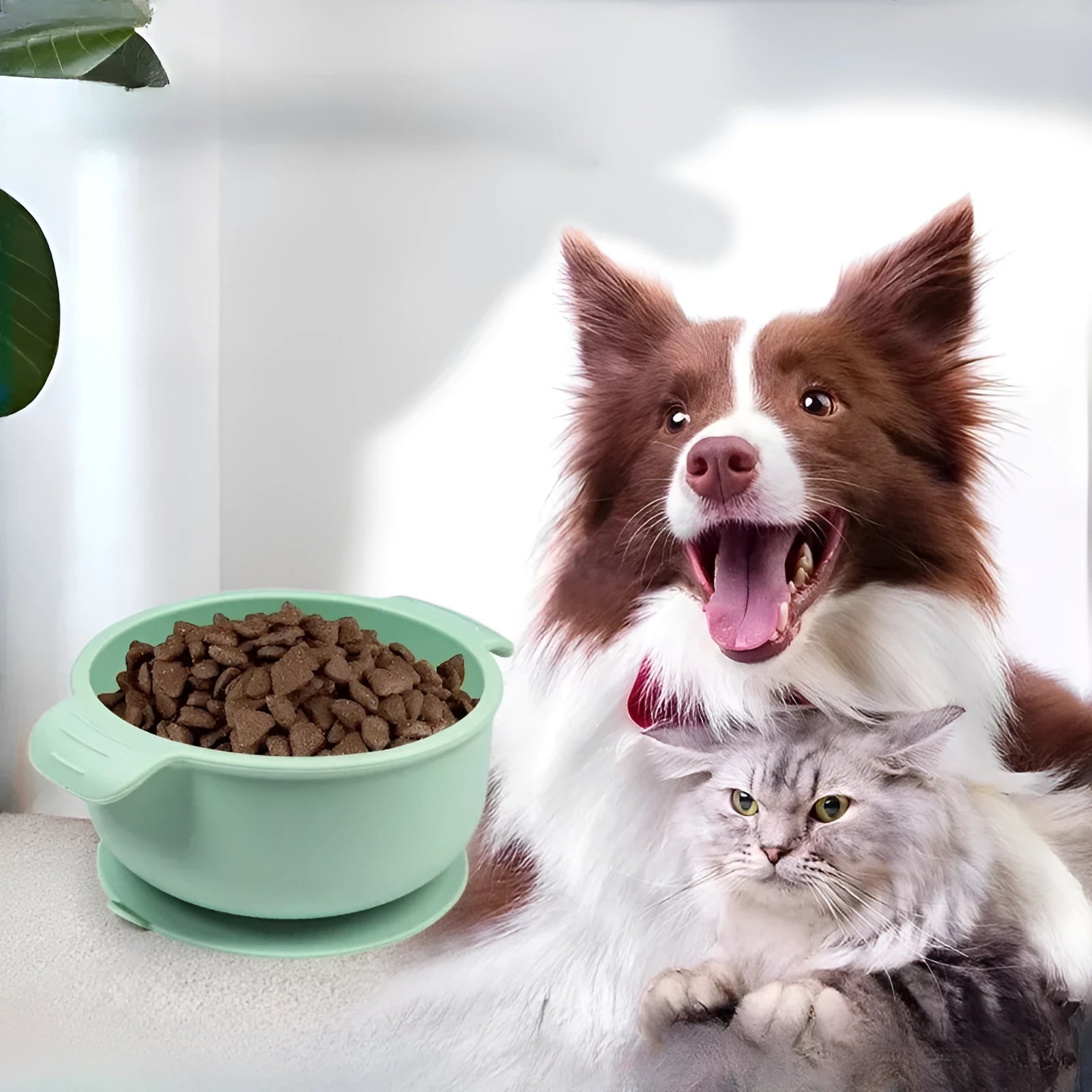 Silicone pet bowl with suction cup base in blue colour for dogs and cats