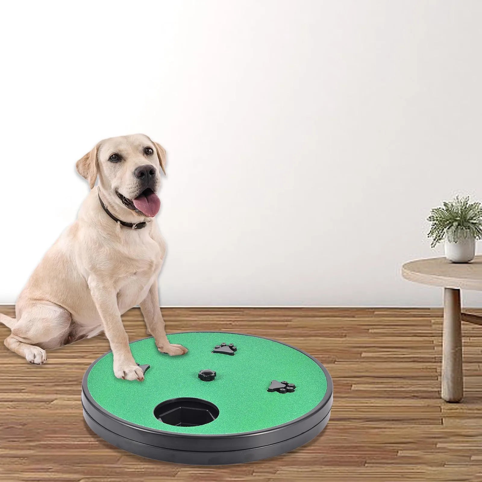 Square rotating dog nail file board with food compartments and suction cup base