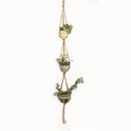 Woven wire plant hanger made from cotton rope in a desktop display style holding a small potted plant.