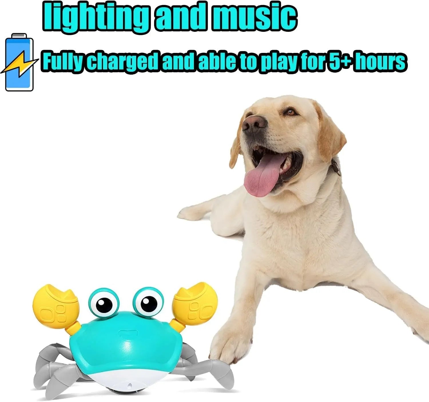 Blue electronic crab dog toy crawling on floor with lights illuminated.