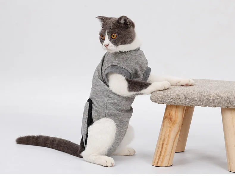 Pet cat recovery suit in pure cotton with anti-mite and sterilisation features, available in multiple sizes for small cats