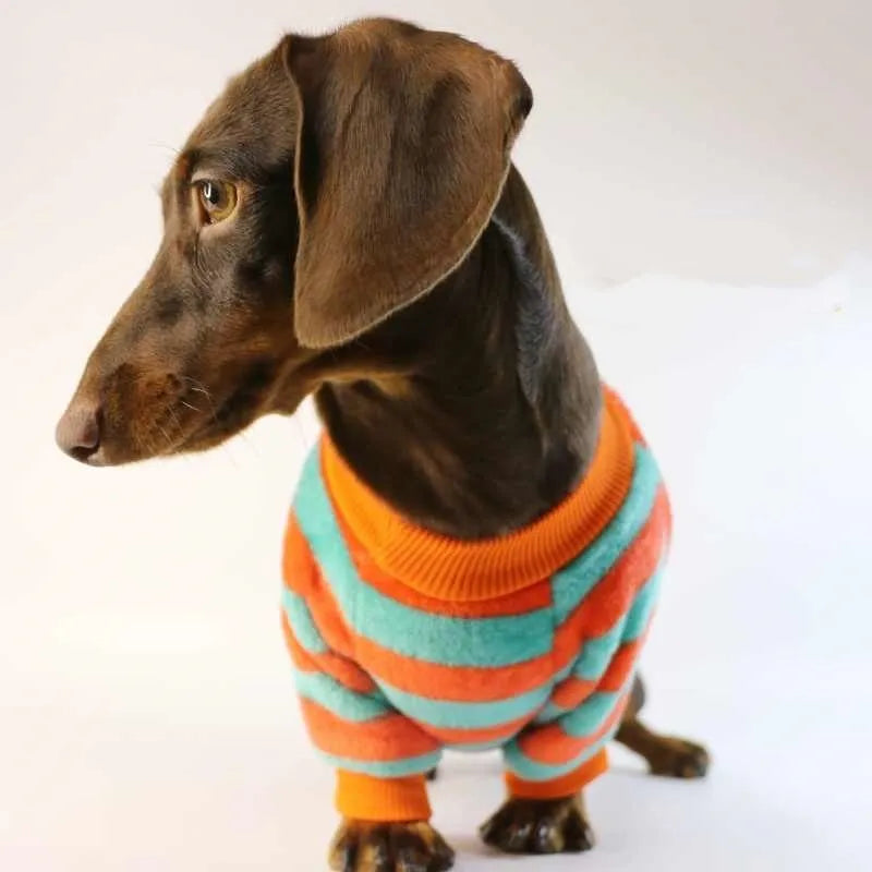 Striped orange and white pet sweatshirt for dogs and cats with round neck design