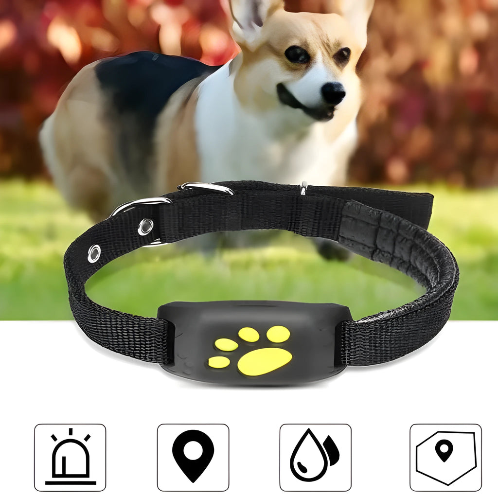 GPS Pet Tracker Z8-A with ABS+PVC casing, waterproof, USB charge, and map function on a collar