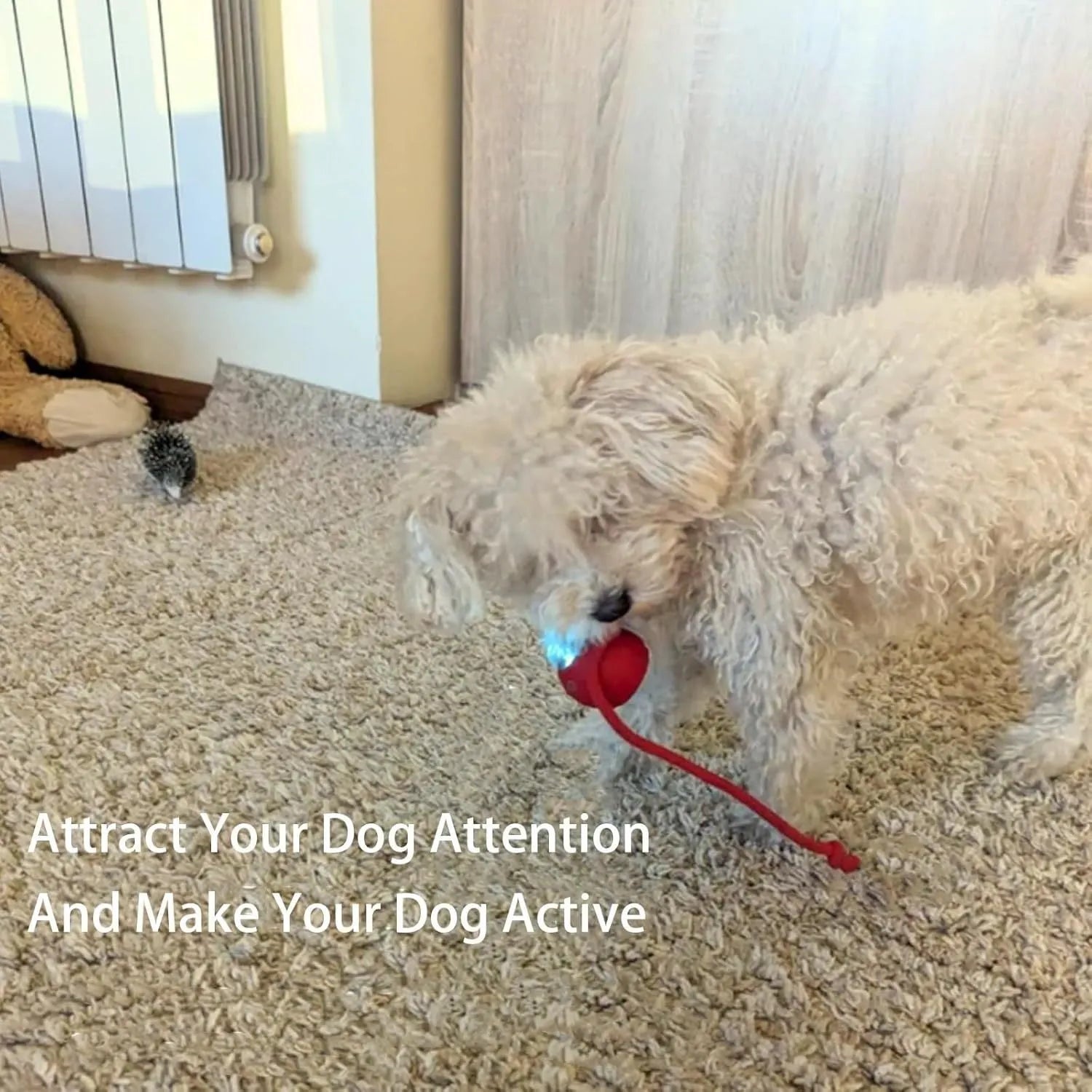 Interactive automatic rolling ball pet toy with rope tail in grey, green, and red colour options
