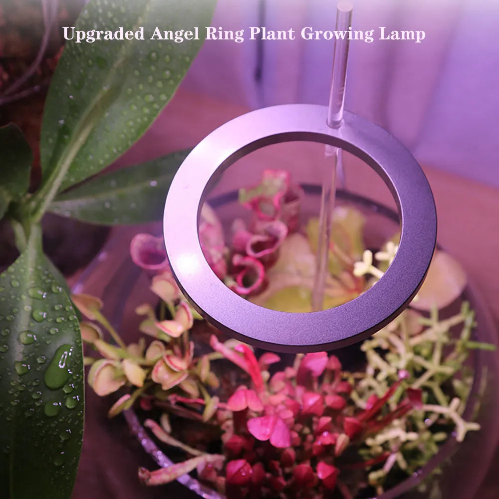 Compact 90mm angel ring LED grow light for indoor plants with USB cable connection