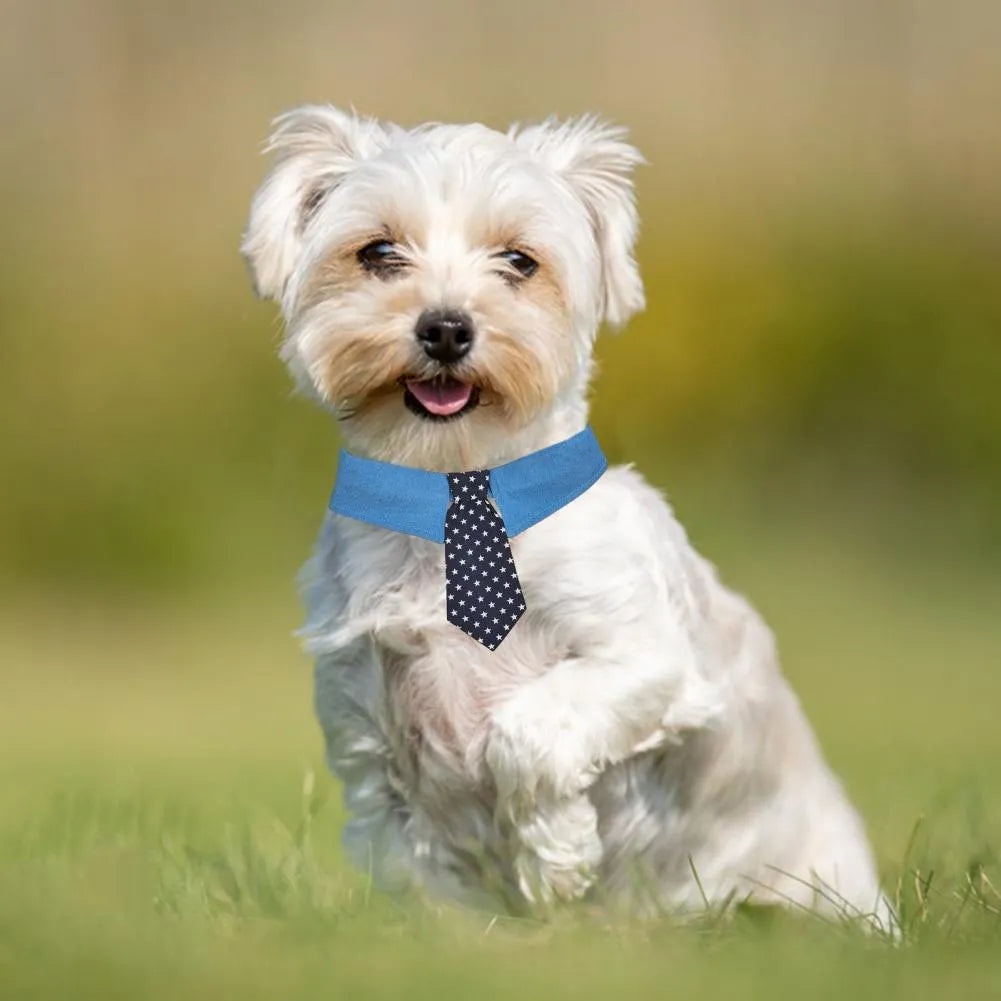 Denim pet collar with star pattern necktie on adjustable fastener tape for dogs