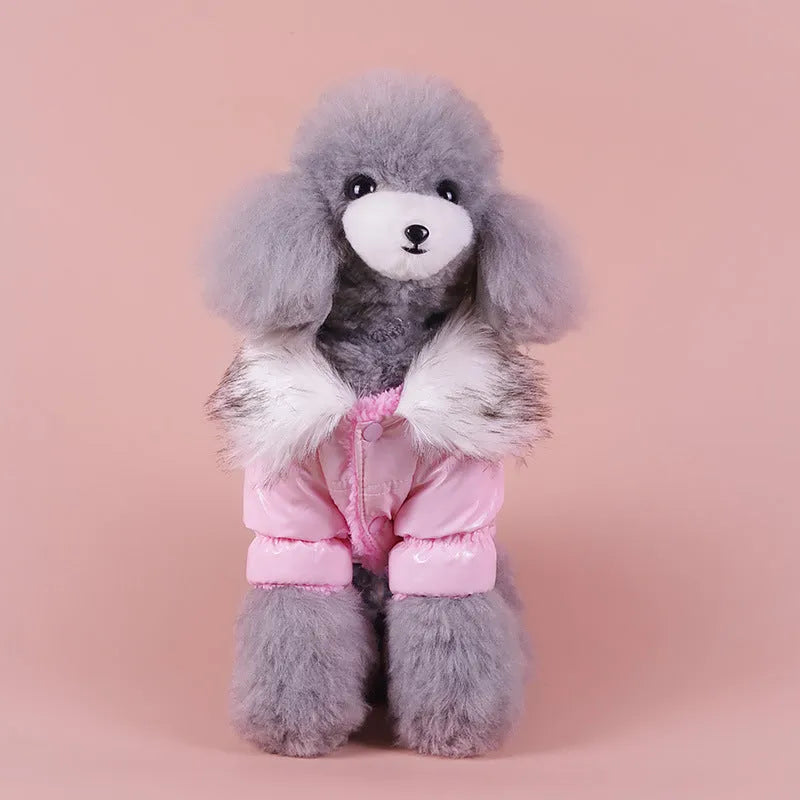 Blue cotton dog coat for winter on a small dog, showing sizing and British style.