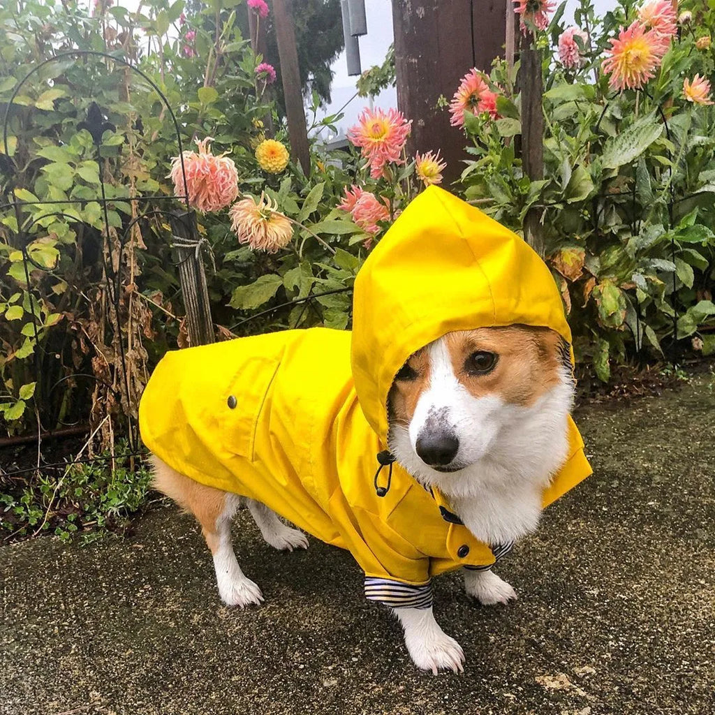 Yellow polyester dog raincoat with high-density twill windproof and waterproof design