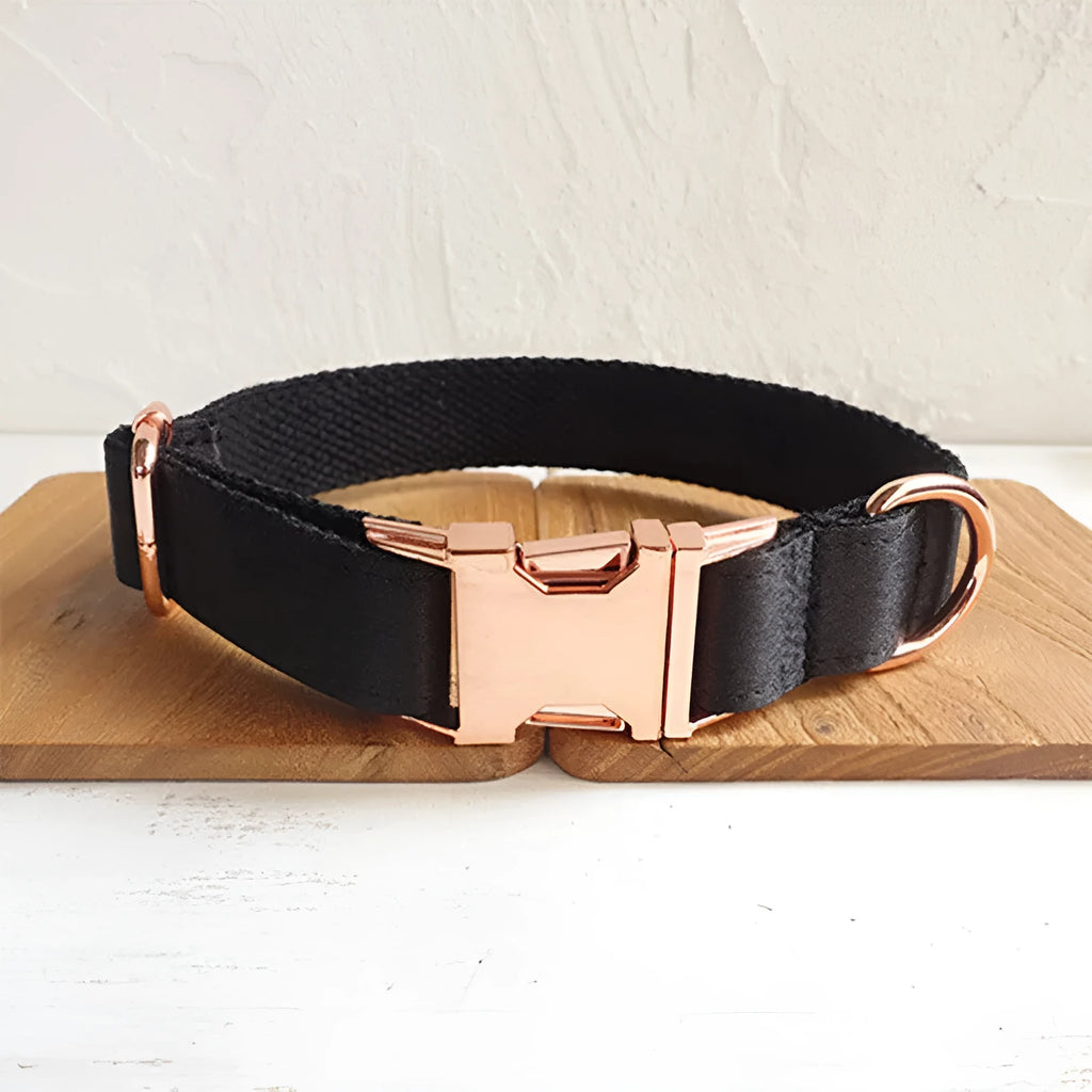 Black polyester dog collar for general use, shown as a simple pet collar available in sizes XS to XL.