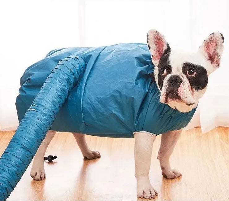 Blue automatic dog drying bag made from high-density Oxford cloth with silver-plated film lining, suitable for small to large dogs
