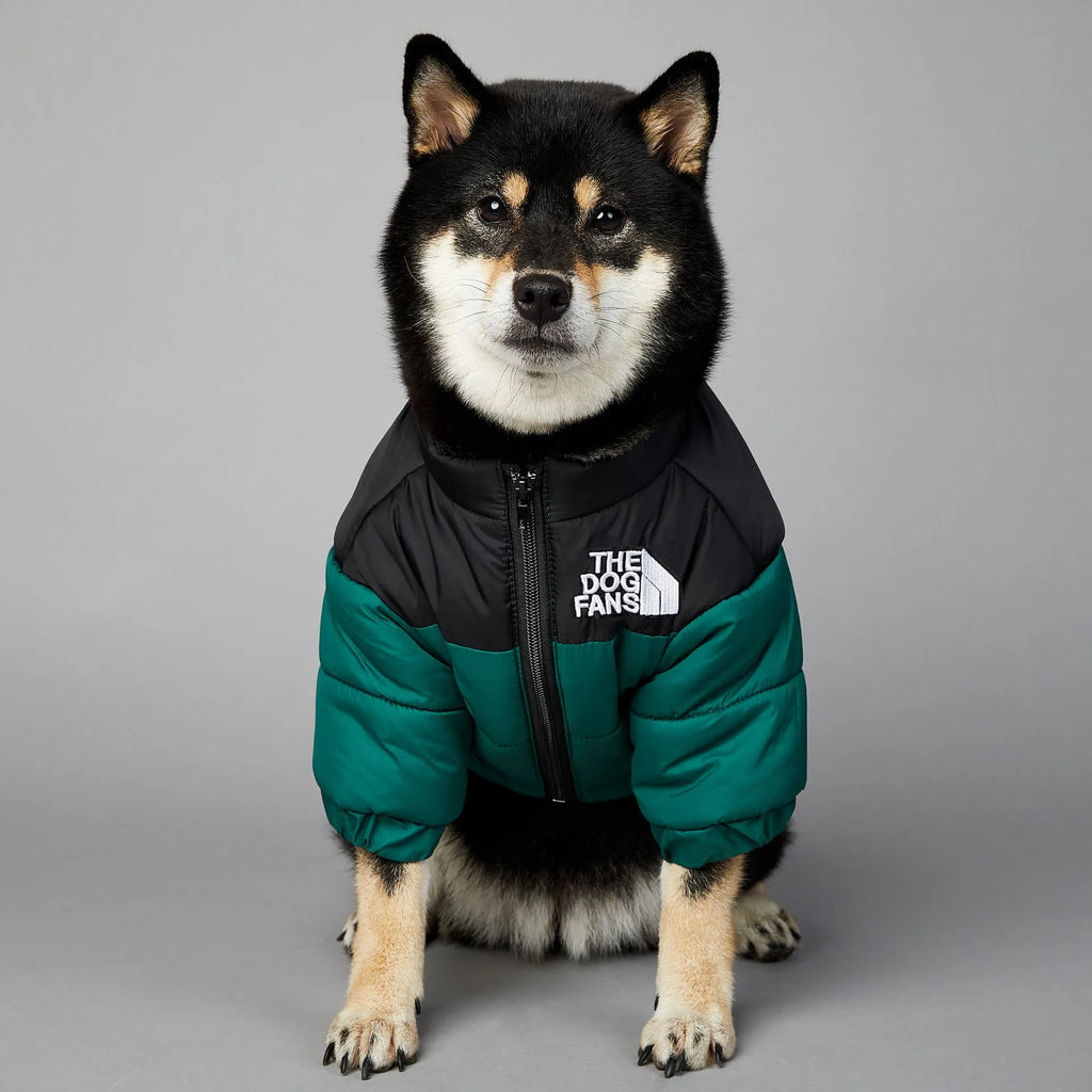 Windproof rainproof dog winter warm cotton-padded coat in polyester, sizes S to 5XL, multiple colours