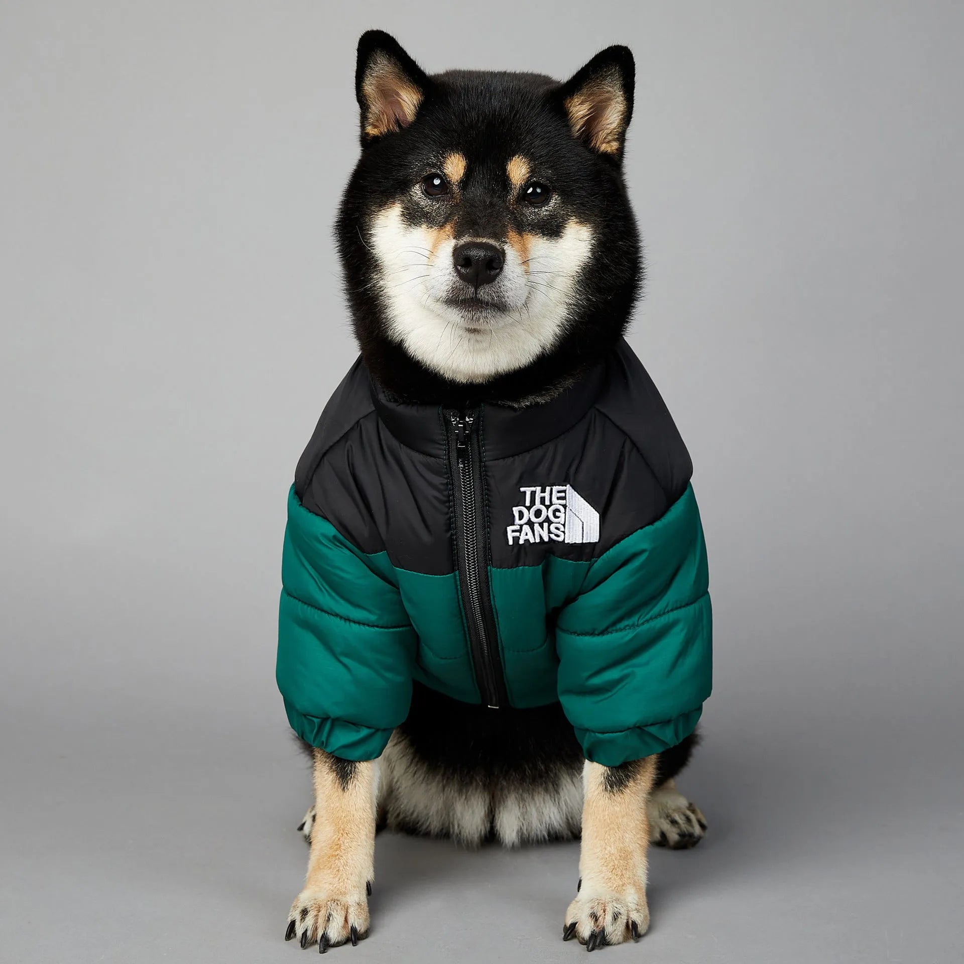 Windproof rainproof dog winter warm cotton-padded coat in polyester, sizes S to 5XL, multiple colours