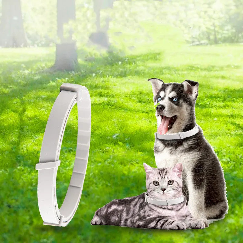 Adjustable pet flea collar for cat or dog, natural plant extracts, waterproof, 8 months protection, TPR silica gel