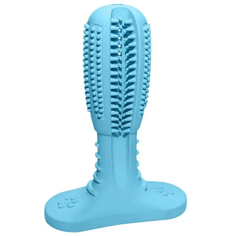 Dog toothbrush bite resistant molar toy in rubber, large and medium sizes, green blue orange