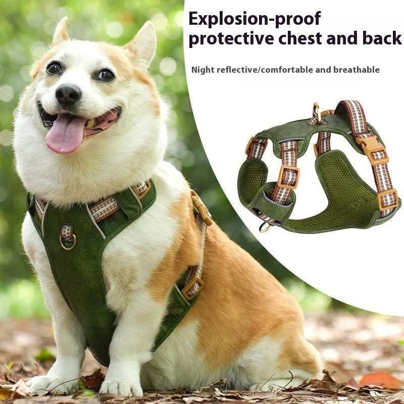 Brown leather dog harness with reflective strips and chest clip.
