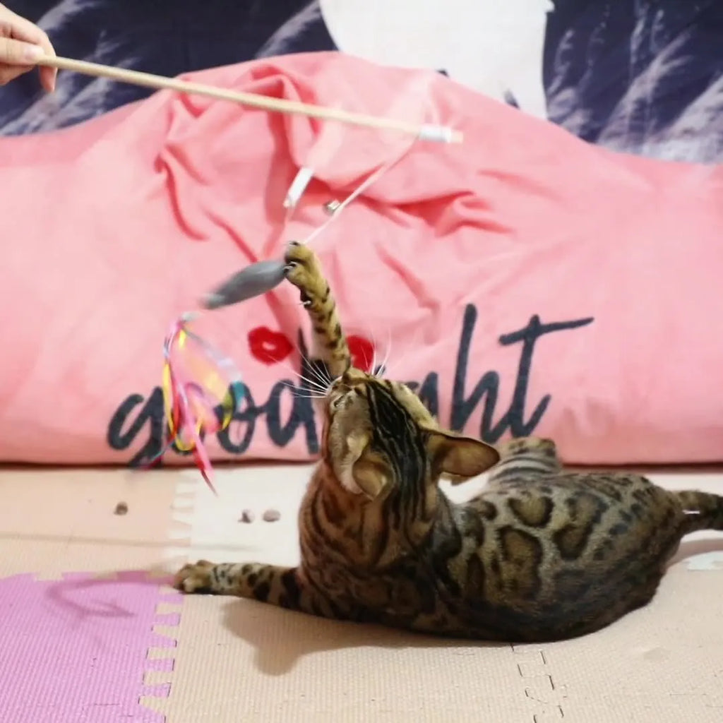 Cat wand toy with catnip fish, colourful ribbons and bell on natural wooden handle