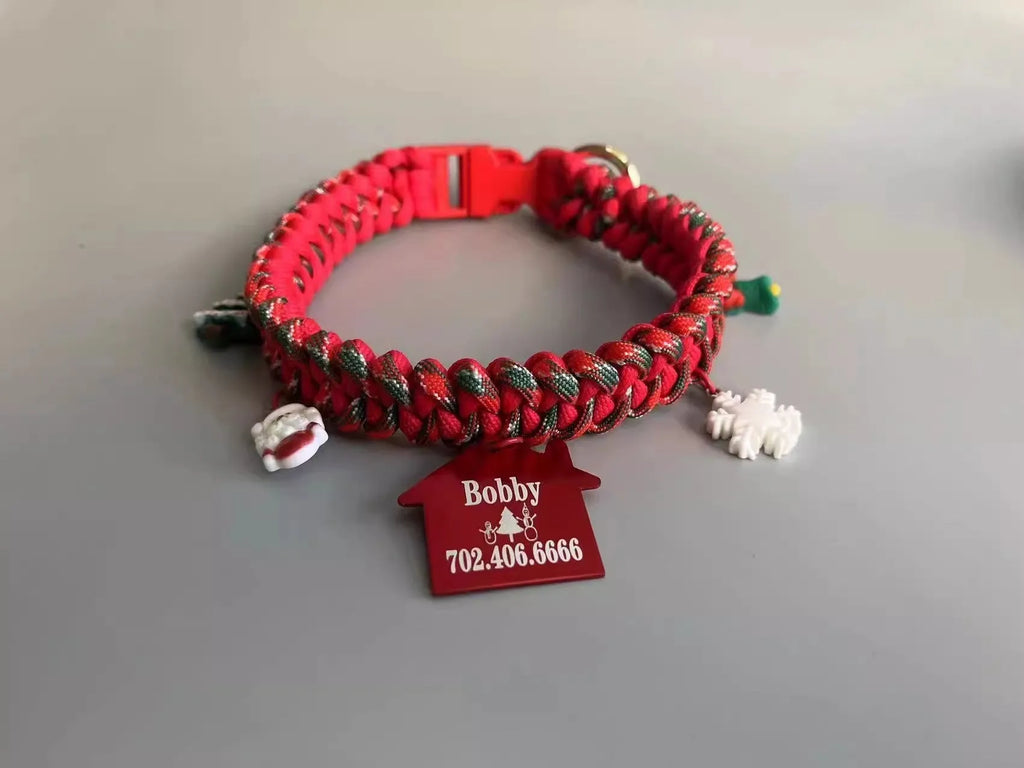 Green rope P chain dog leash with a metal release buckle fastened to a dog collar.