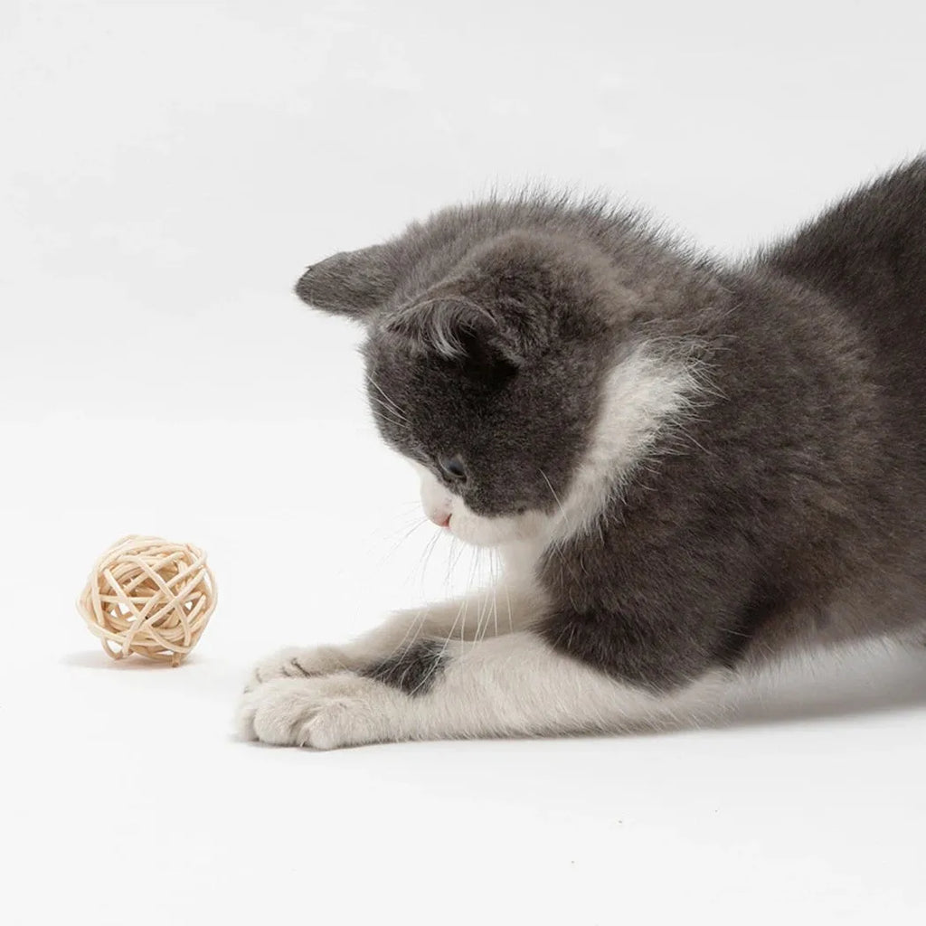 Two cat toy balls: one rattan ball and one faux feather ball with bells