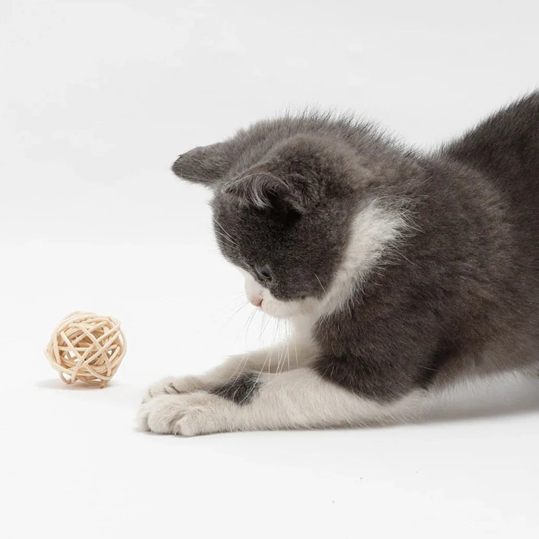 Two cat toy balls: one rattan ball and one faux feather ball with bells