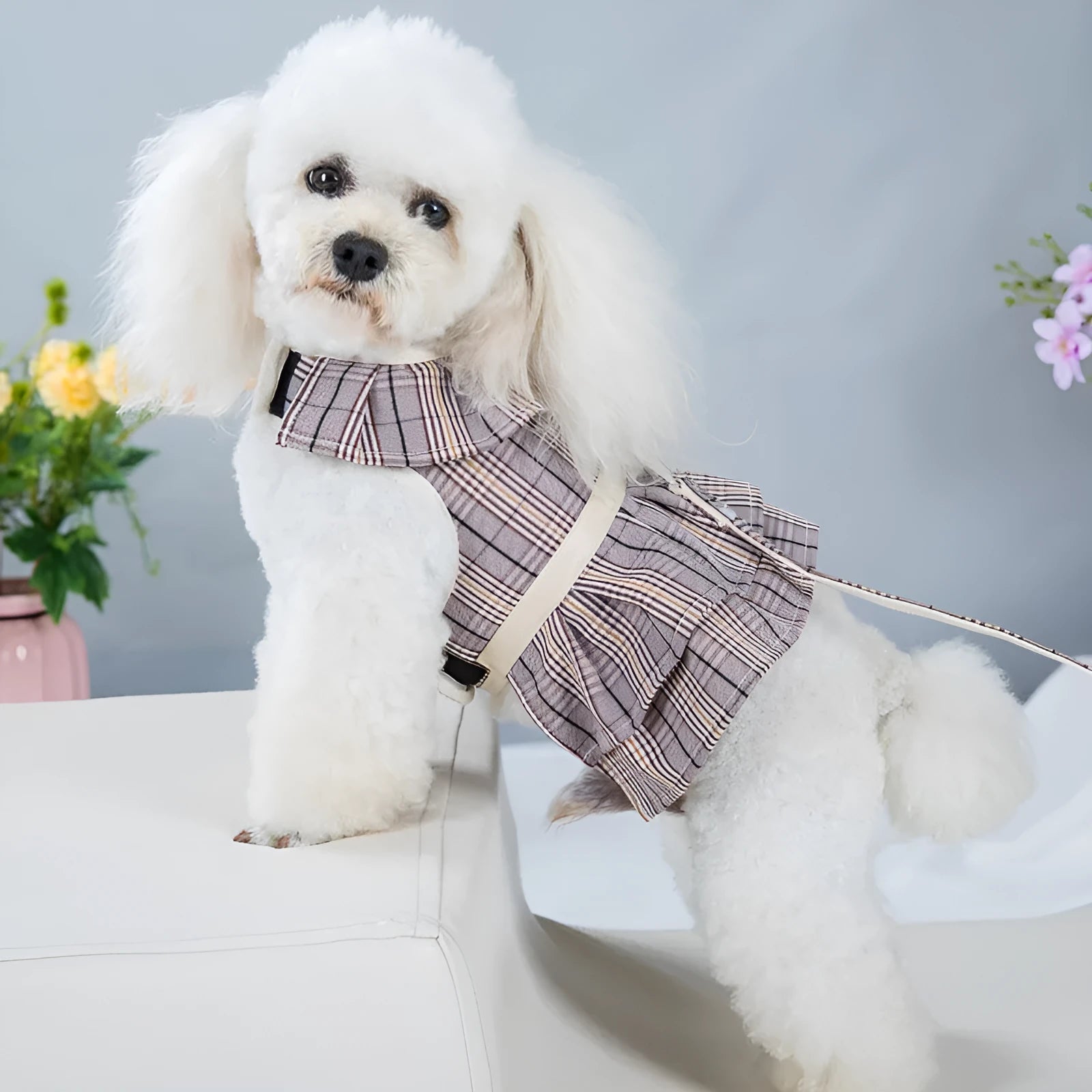 Pet vest chest strap with integrated hand holding rope in milky white or purple colour options