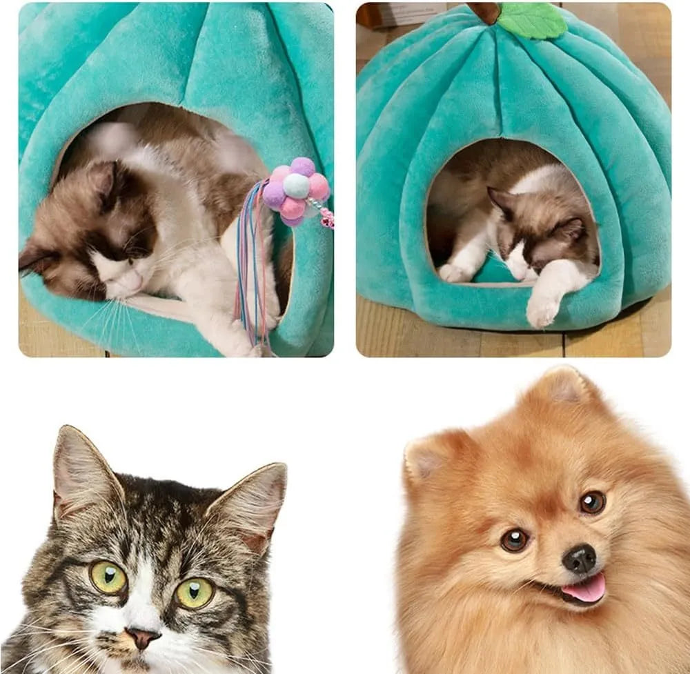 Pumpkin-shaped plush cat cave bed in blue colour with a semi-enclosed entrance.