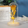 Eternal rose flower under glass cover with warm white LED strip light, six colour options